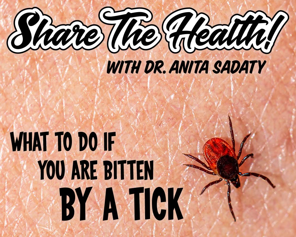 What To Do If You Are Bitten By A Tick