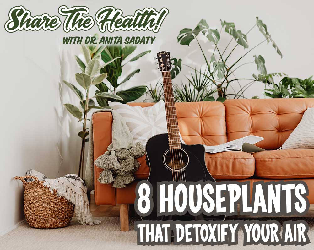 Dr. Sadaty's Share The Health - 8 Houseplants That Detoxify Your Air