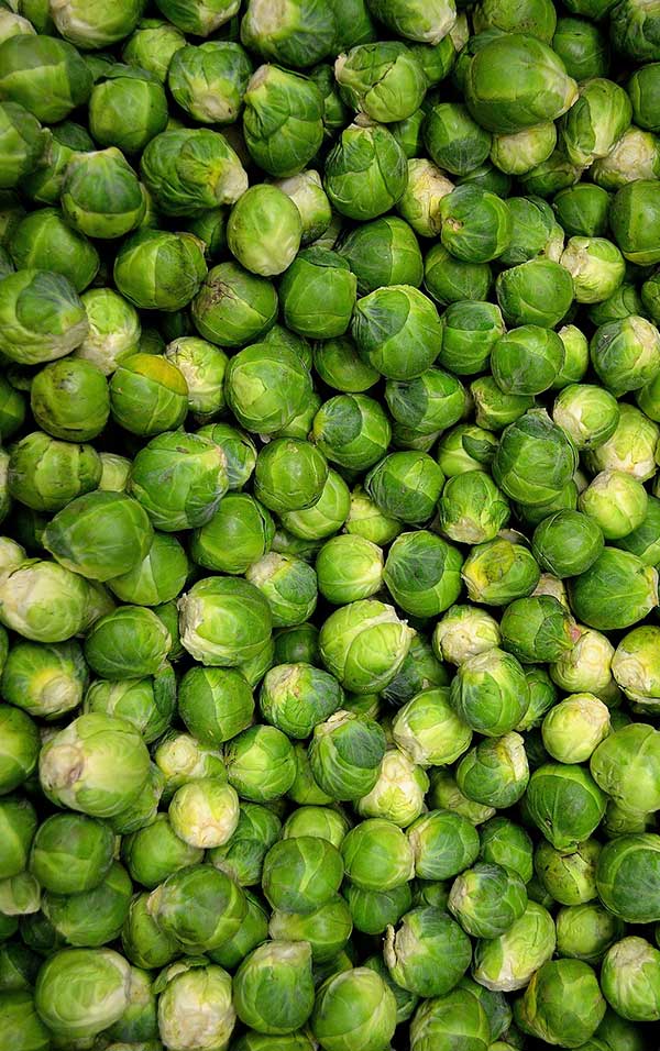 Are you allergic to brussel sprouts?