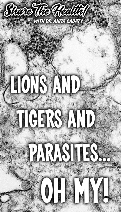 Dr. Sadaty Lions and Tigers And Parasites Oh MY!