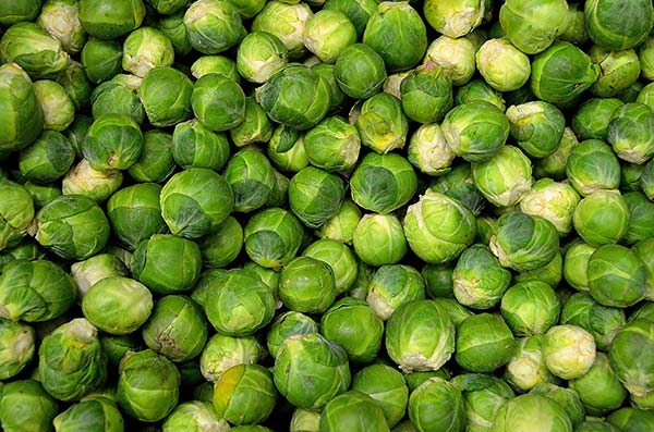 thyroid treatment diet - brussels sprouts