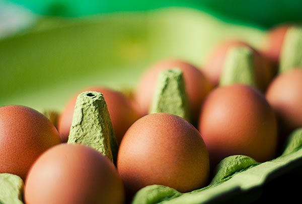 thyroid treatment - eggs