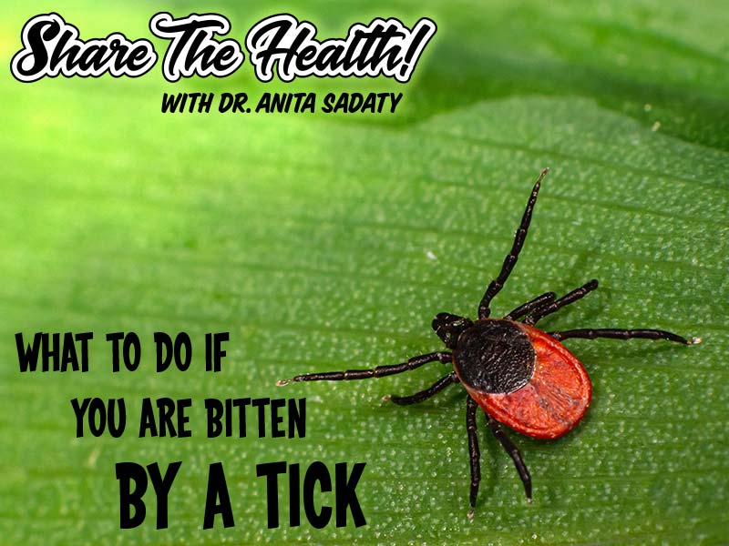 What To Do If You Are Bitten By A Tick